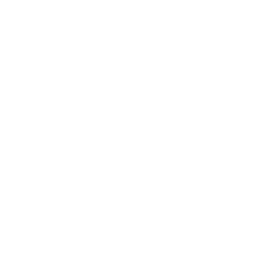 Service Icon