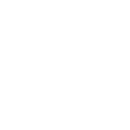 Service Icon