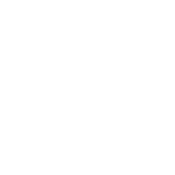 Service Icon