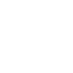 Rédaction web
et Conception du site

