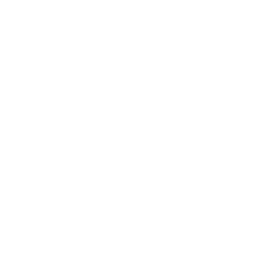 Service Icon