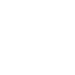 Service Icon